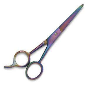 Professional Hair Cutting Scissors